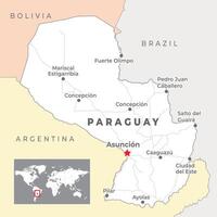 Paraguay politiek kaart met hoofdstad asunctie, meest belangrijk steden en nationaal borders vector