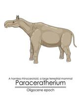 paraceratherium, een hoornloos neushoorn, een groot terrestrisch zoogdier vector