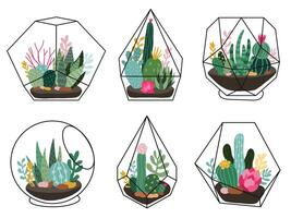 terrarium planten. meetkundig sappig, cactus terraria, hand- getrokken terraria met exotisch planten, Scandinavisch stijl vector illustratie reeks
