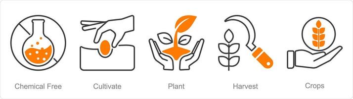 een reeks van 5 biologisch landbouw pictogrammen net zo chemisch vrij, cultiveren, fabriek vector