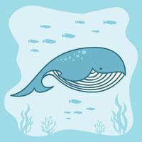 walvis vector illustraties