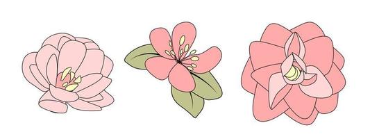 handgetekende bloem. vector illustratie