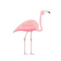 kleurrijke roze decoratieve flamingo geïsoleerd op een witte achtergrond. vector illustratie