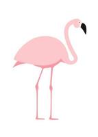 cartoon roze flamingo op witte achtergrond. vector illustratie