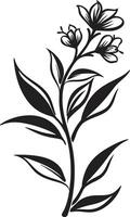 strak bloemblad harmonie elegant embleem van botanisch bloemen eindeloos bloesems zwart vector logo ontwerp met botanisch charme