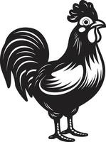gevederde fabels chique vector logo presentatie van kip verfijning haan mijmering elegant monochroom embleem voor gevogelte geliefden