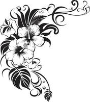 bloemen floreren monochroom embleem met decoratief bloemen hoeken chique wijnstokken strak zwart logo ontwerp met decoratief hoeken vector