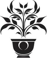 bloemen finesse chique vector embleem markeren elegant fabriek pot biologisch weelde strak zwart logo met monochroom fabriek pot