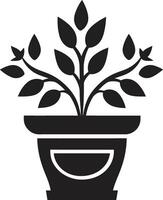 gevoed noir strak embleem met decoratief fabriek pot in zwart bloesem balans monochroom fabriek pot logo met elegant elegantie vector