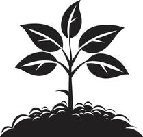 eco embleem vector boom plantage logo in zwart logo ontwerp duurzame groei iconisch zwart symbool van boom plantage
