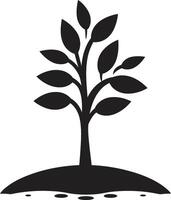 geworteld veerkracht vector symbool van boom plantage in zwart bos- harmonie dynamisch zwart icoon voor boom logo ontwerp