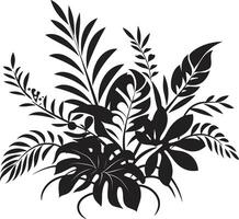 weelderig tropen vector zwart logo ontwerp met tropisch bloesems oerwoud harmonie strak iconisch ontwerp met voortreffelijk fabriek bladeren in zwart