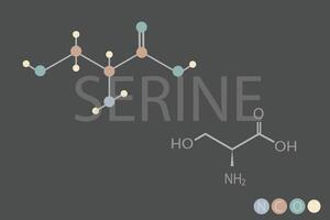 serine moleculair skelet- chemisch formule vector