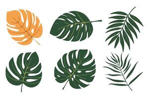 zomer palm blad vector groen plant, exotisch natuur