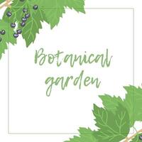 botanisch tuin, heerlijk rijp bessen vector