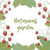 botanisch tuin, heerlijk rijp bessen vector