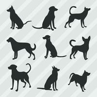 honden vector silhouetten bundel, reeks van divers houding hond verzameling
