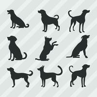 honden vector silhouetten bundel, reeks van divers houding hond verzameling