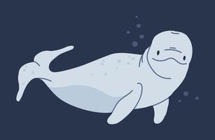 beluga walvis. onderwater- zoogdier dier, hand- getrokken wit walvis, aquatisch schattig schepsel zwemmen in oceaan vlak illustratie. wit walvis dier vector
