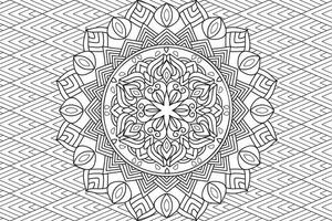 mandala kleur bladzijde voor kinderen en volwassenen. bladzijde voor ontspanning en meditatie. circulaire patroon. decoratief ornament etnisch oosters stijl. lijn kunst tekening kleur bladzijde. illustratie vector