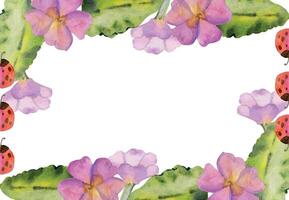 hand- getrokken waterverf illustratie voorjaar tuinieren bloem bed, bladeren bloemknoppen natuur bloesem. horizontaal kader geïsoleerd Aan wit achtergrond. ontwerp winkel, scrapbooken, verpakking, decoupage, uitnodiging vector