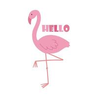 schattig roze flamingo geïsoleerd Aan wit achtergrond. getrokken flamingo. illustratie van een exotisch vogel. vector