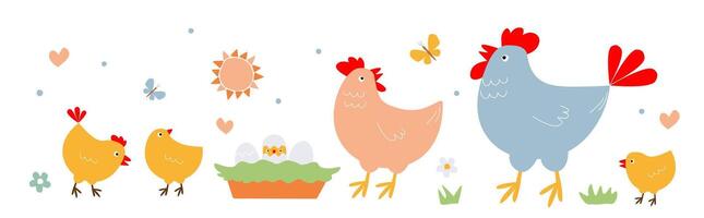 familie gevogelte. reeks van kip, haan, kuikens, nest met eieren in zomer. grafiek. vector