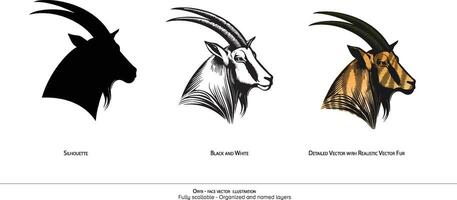 oryx gezicht enkel en alleen illustratie. dier tekening. oryx gedetailleerd illustratie. silhouet, zwart en wit. georganiseerd en genaamd lagen vector