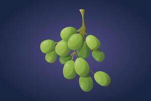 bundel van zoet groen druiven bessen. geïsoleerd tekenfilm illustratie van vers heerlijk fruit. vector