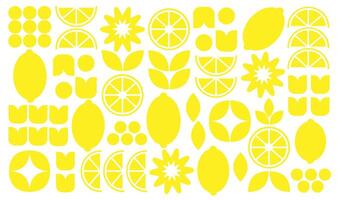 abstract meetkundig fruit patroon. vormen van natuurlijk biologisch bloem planten, eco-landbouw citrus. minimaal illustratie vector