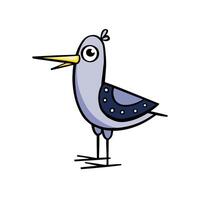 zeemeeuw vogel tekenfilm kleur, illustratie hand- getrokken vector