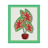 illustratie van caladium blad vector