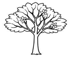 hand- getrokken boom illustratie vector