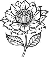 een tekening van een lotus bloem met bladeren en bladeren vector