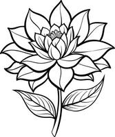 een tekening van een lotus bloem met bladeren en bladeren vector