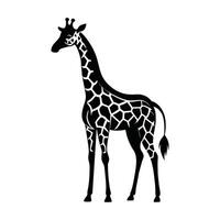 een giraffe met een zwart en wit tekening Aan wit achtergrond vector