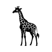 een giraffe met een zwart en wit tekening Aan wit achtergrond vector