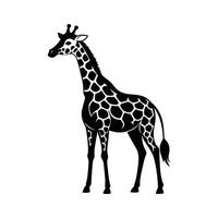 een giraffe met een zwart en wit tekening Aan wit achtergrond vector