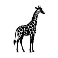 een giraffe met een zwart en wit tekening Aan wit achtergrond vector