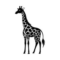 een giraffe met een zwart en wit tekening Aan wit achtergrond vector