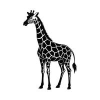 een giraffe met een zwart en wit tekening Aan wit achtergrond vector