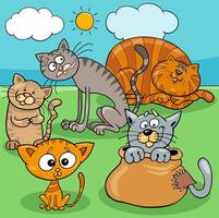 katten en kittens dierlijke karakters cartoon afbeelding vector
