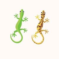 gekko of hagedis vectorillustratie vector