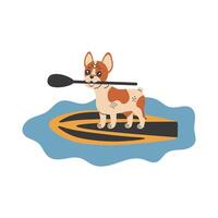 sup surfing hond illustratie vector