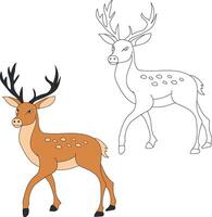 hert clip art set. tekenfilm wild dieren clip art reeks voor geliefden van dieren in het wild vector