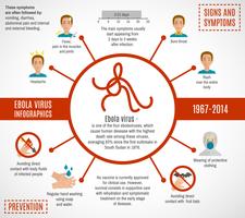 Ebola-virus infographics vector