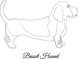 basset hond hond illustratie schets vector