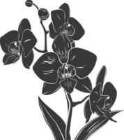 ai gegenereerd silhouet orchidee bloem zwart kleur enkel en alleen vector