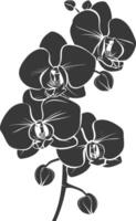 ai gegenereerd silhouet orchidee bloem zwart kleur enkel en alleen vector