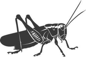 ai gegenereerd silhouet sprinkhaan insect dier zwart kleur enkel en alleen vector